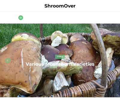 The ShroomOver Guide to Mushroom Cultivation - Microdosing - Culinary Recipes - Medical Therapies