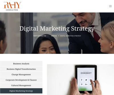 https://rahyconsulting.com/service/digital-marketing-consultation/