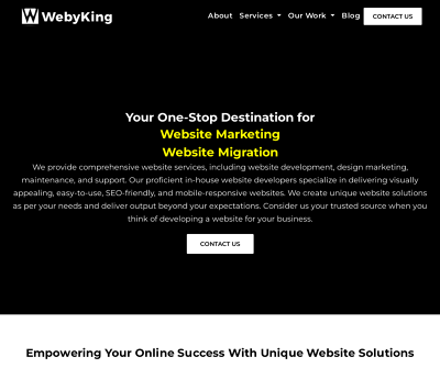 WebyKing - Best Full Service Website Agency