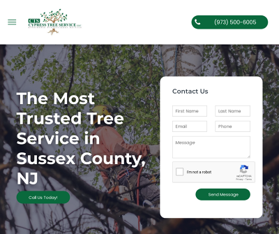 Cypress Tree Service