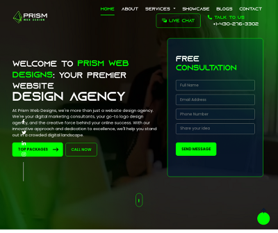 Professional Logo Design | Prism Web Designs