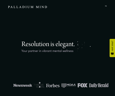 Palladium Mind Inc.