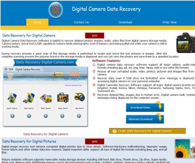 Digital Picture Recovery