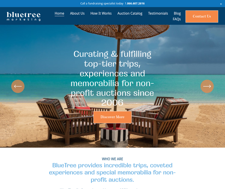 Charity Auction Travel Packages  — BlueTree Marketing