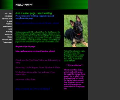 Shadow Land Shepherds~AKC REG German Shepherds