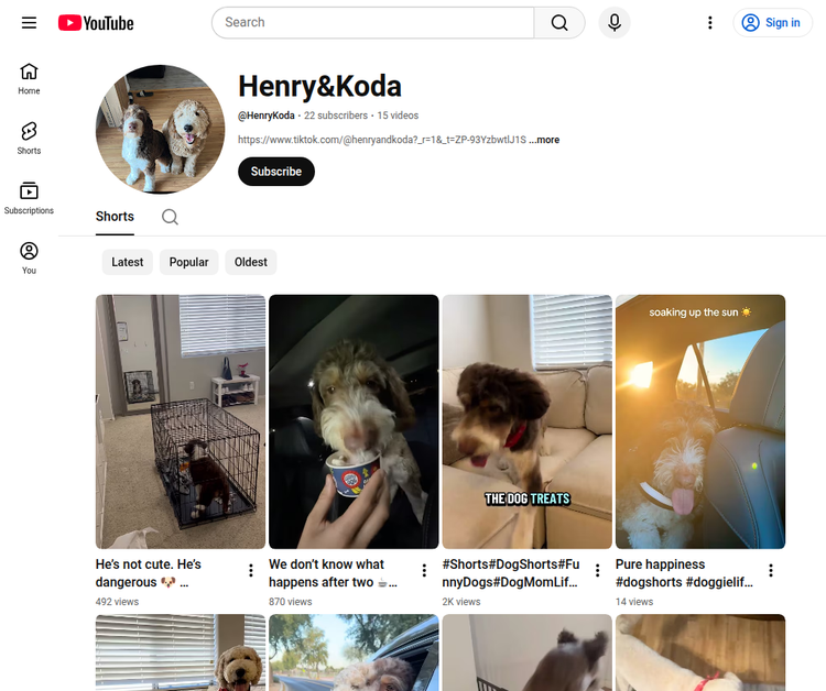 Welcome to the chaotic, hilarious and slightly unhinged world of Henry and Koda