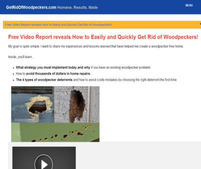 Fast & Humane Woodpecker Control With Immediate Results