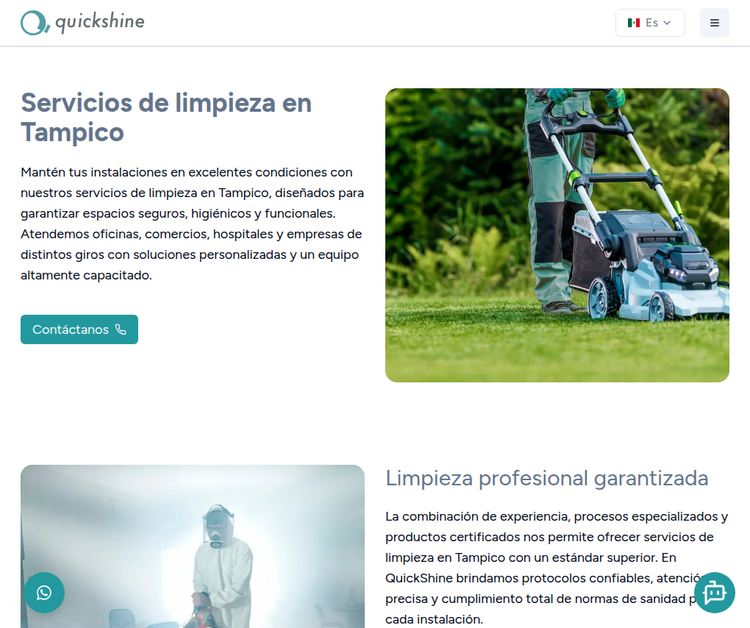 Professional Cleaning Services in Tampico