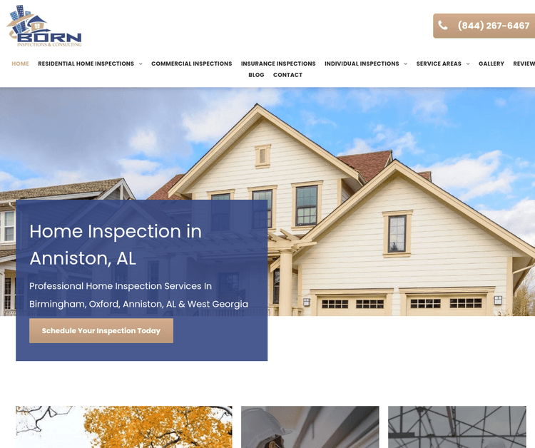 Born Inspections