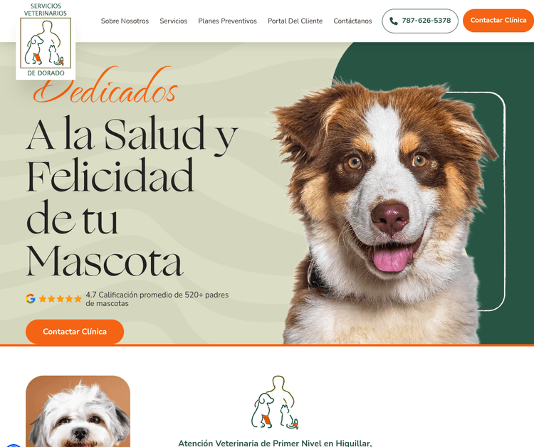 Servicios Veterinarios De Dorado