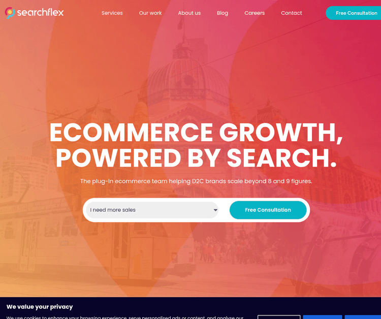 Ecommerce Search Solution
