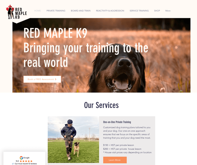 Bringing Your Training to the Real World