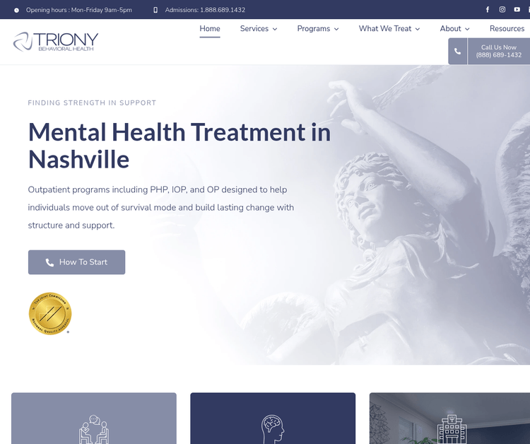 Triony Behavioral Health