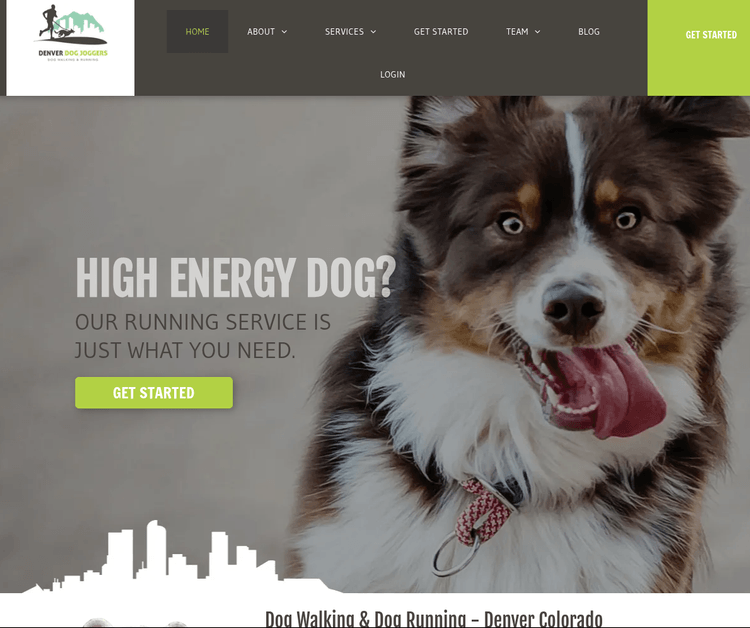 Denver Dog Joggers