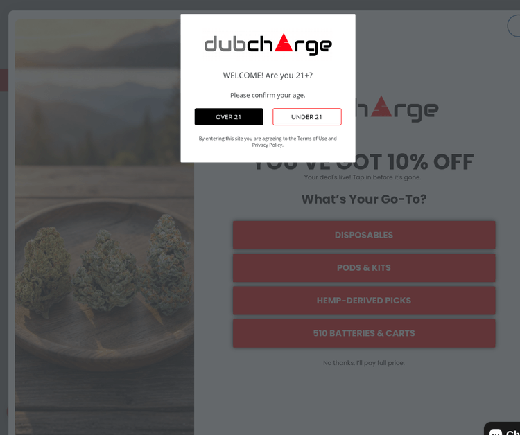 DubCharge