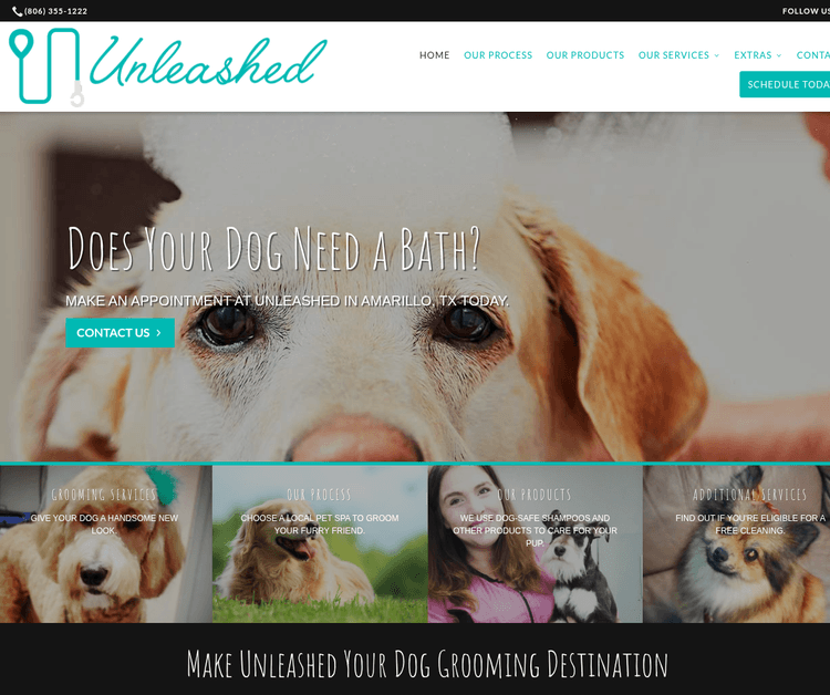 Unleashed