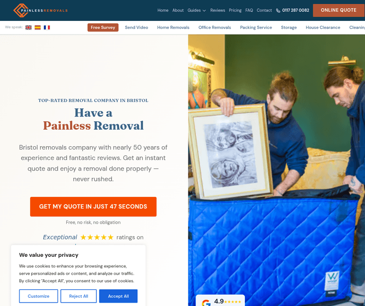Painless Removals