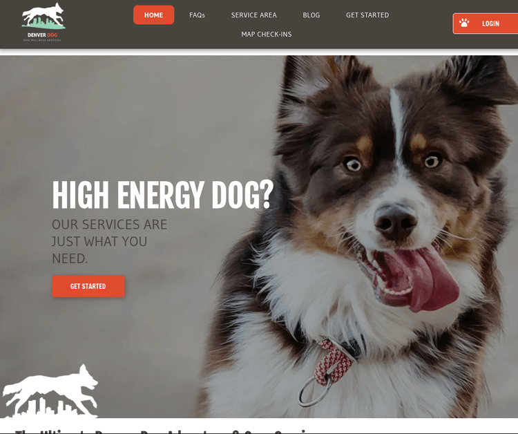Denver Dog