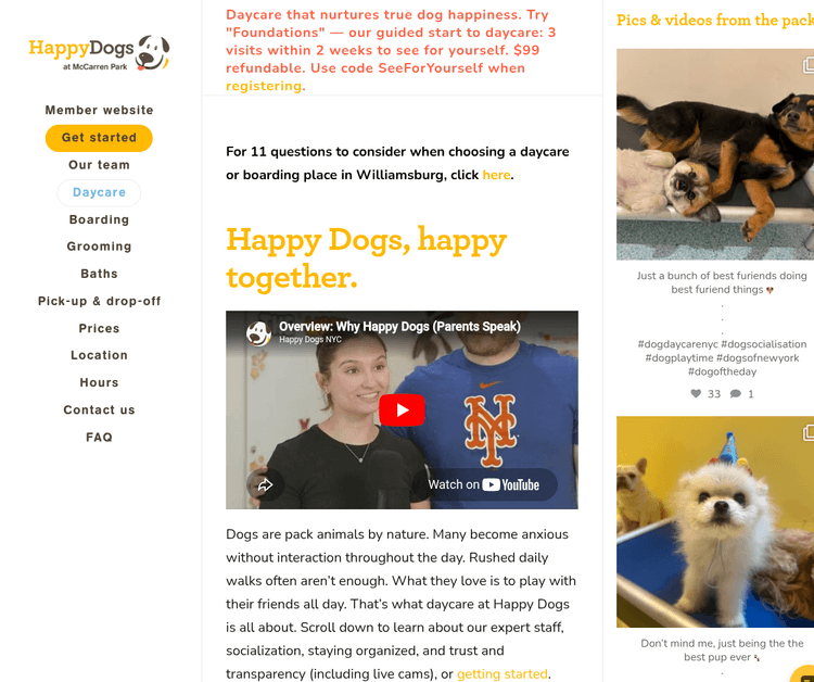Happy Dogs