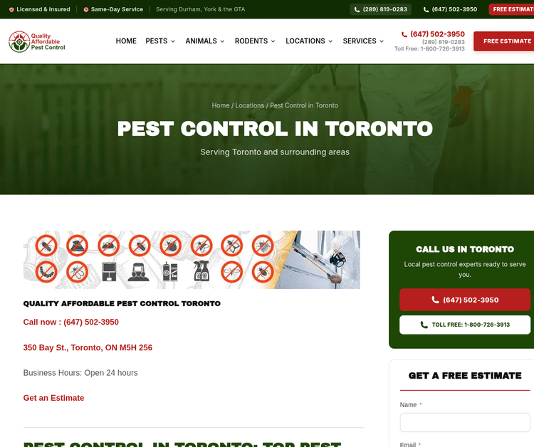 Quality Affordable Pest Control Toronto