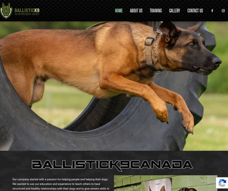 Ballistick9Canada