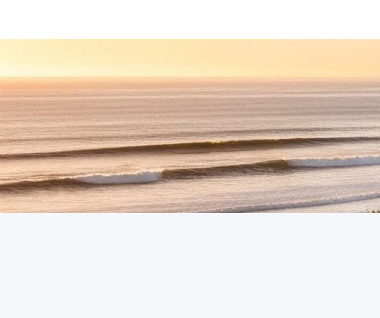 Coastline Auto Brokers