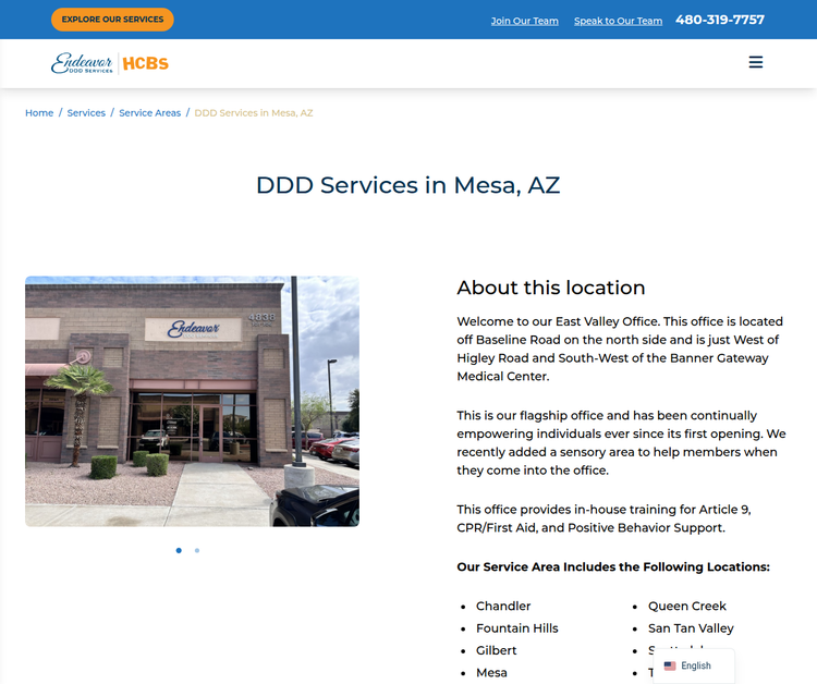 Endeavor DDD Services