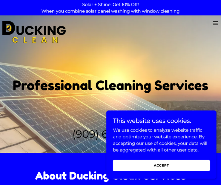 Professional Cleaning Services in Yucaipa