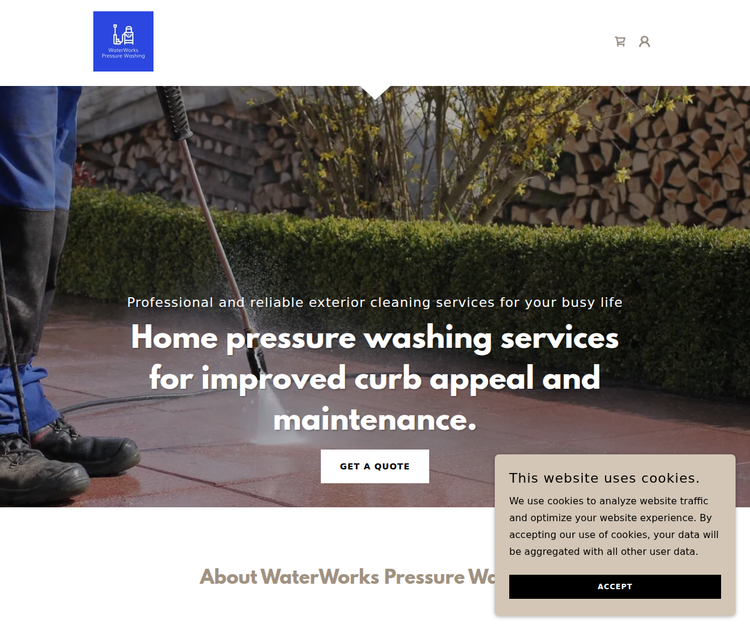 Professional Home Pressure Washing Services