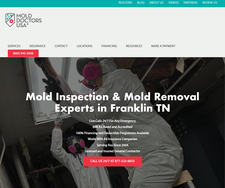 Professional Mold Removal in Franklin, TN