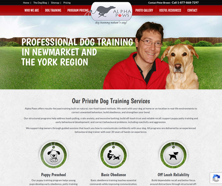 Professional Private Dog Training in Newmarket & York Region