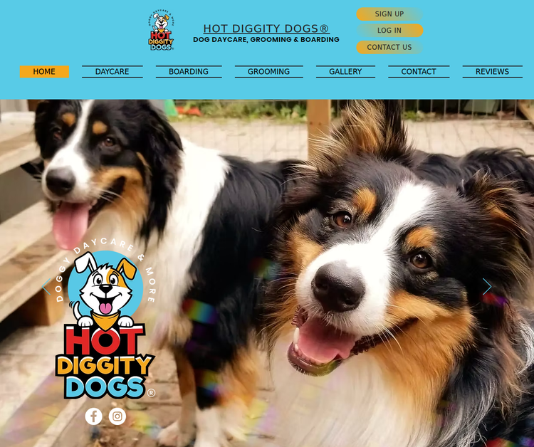 Hot Diggity Dogs Etobicoke Dog Daycare, Grooming & Boarding