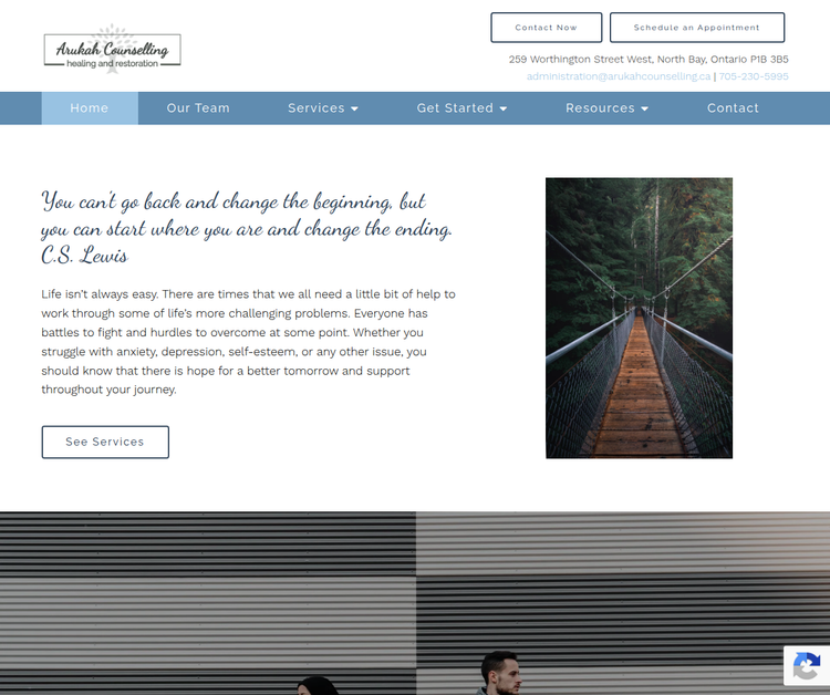 Professional Counseling and Therapeutic Support