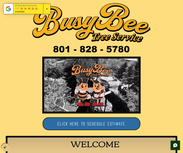 Tree Service Experts in Saratoga Springs & Lehi
