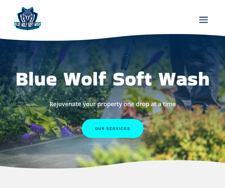 Blue Wolf Soft Wash
