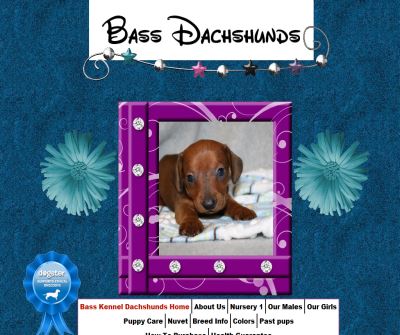 Bass Kennel Dachshunds