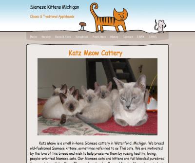 Michigan Siamese Kittens