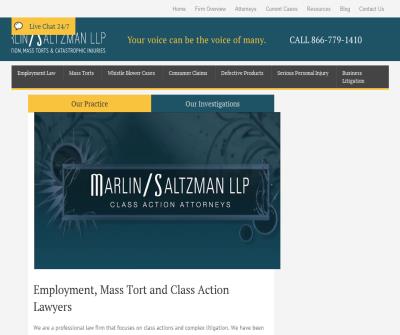 Marlin | Saltzman LLP.