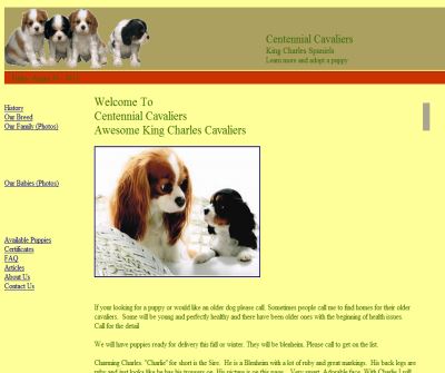 Cavalier King Charles Spaniel | Cavalier King Charles Spaniel Breeder | Charaes Cavaliers