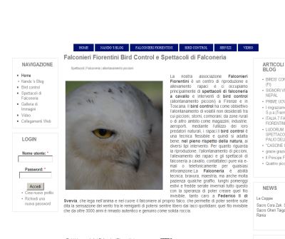 Birdcontrol e Spettacoli di Falconeria | FALCONIERI FIORENTINI