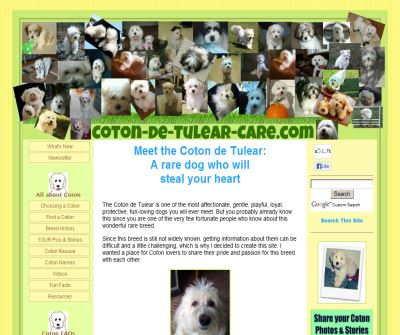 The Complete Coton de Tulear Guide