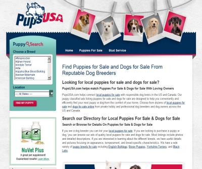 Puppies For Sale