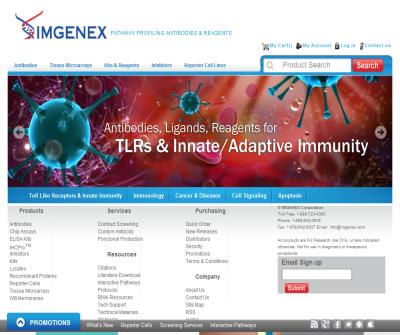 Activating transcription factor 2