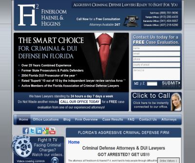 Florida Criminal Lawyer