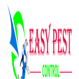Your Trusted Pest Management Partner