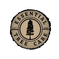 Essential Tree Care