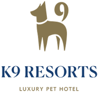 Luxury Pet Hotel in Mount Pleasant