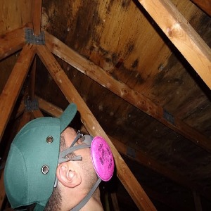 Attic Sheathing Remediations Toronto