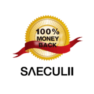 SAECULII TRANSLATION JAPAN-http://japan-translators.saeculii.com/