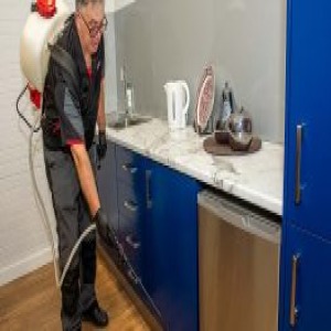Control Pest Managemrnt-https://controlpestmanagement.com.au/